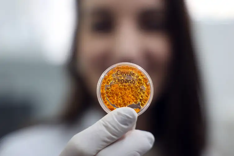 Valter Campanato/Agência Brasil Brasília (DF), 26/05/2026 - O laboratório de nanotecnologia da Embrapa produz em caráter experimental substitutos veganos de carne vermelha, salmão e lula por meio de uma impressora carregada de massa feita do extrato de sementes. Foto: Valter Campanato/Agência Brasil